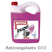 Anticongelante-G13